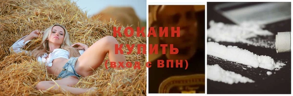 spice Мегион