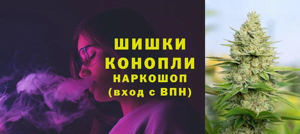 spice Мегион