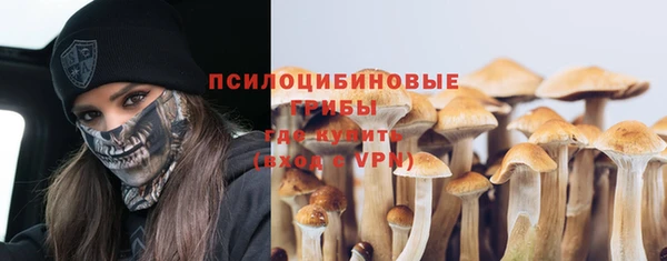 ALPHA PVP Медногорск