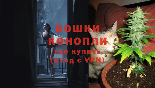 стафф Медвежьегорск
