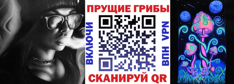 Псилоцибиновые грибы ЛСД Павловский Посад