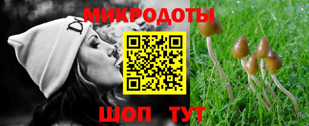 Павловский Посад  Псилоцибиновые грибы Magic Shrooms  Вход с VPN 