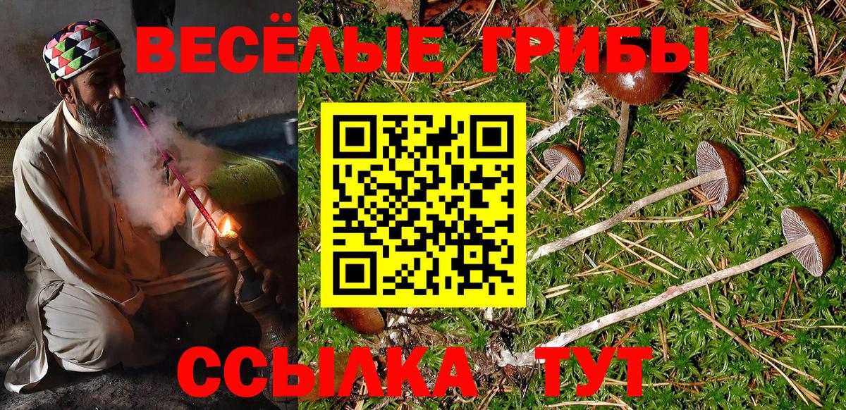 Галлюциногенные грибы мухоморы Павловский Посад