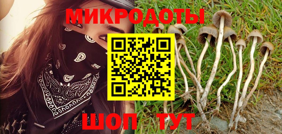 Галлюциногенные грибы Magic Shrooms  Павловский Посад  Галлюциногенные грибы Psilocybe 