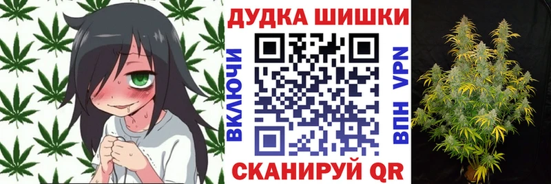Конопля THC 21%  купить наркотики сайты  Павловский Посад 